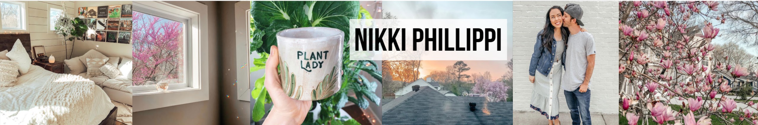 NikkiPhillippi-Banner