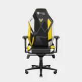 Image of Secretlab Titan Evo Vitality Edition