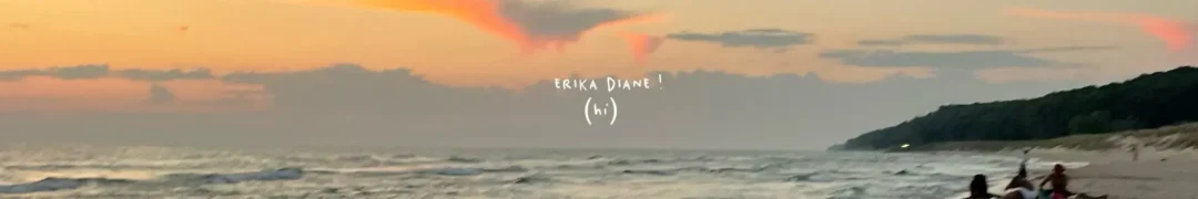 Erika Diane’s Banner on What.Equipment