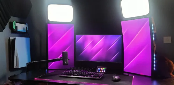 Setup Image of anniefuchsia